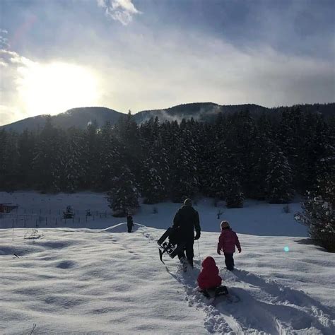 Winter Solstice Traditions to Celebrate the First Day of Winter | Family Food Garden