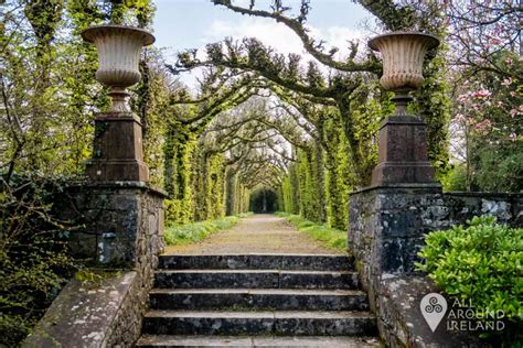 Birr Castle Gardens - a springtime delight • All Around Ireland