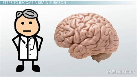 How to Become a Brain Surgeon: Education and Career Information