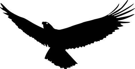 Bald Eagle Bird Flight - Eagle wings png download - 2221*1135 - Free Transparent Bald Eagle png ...