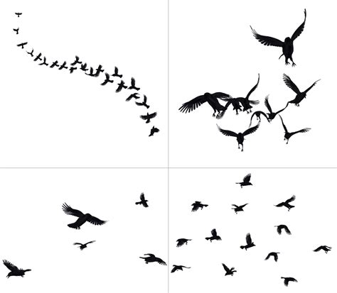 Crows In Flight PNG Stock by Roy3D on DeviantArt