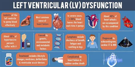 Asymptomatic left ventricular dysfunction : Study uses AI to create early detector of heart ...