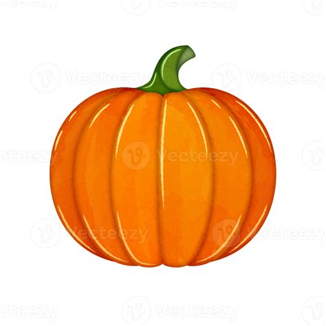 Cute watercolor pumpkin clipart 11190857 PNG