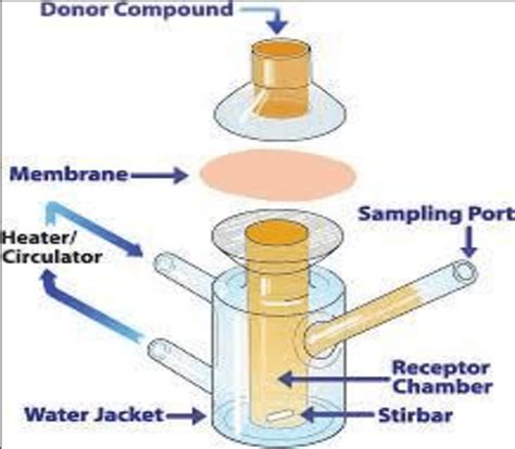 Franz diffusion cell. | Download Scientific Diagram