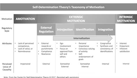 [PDF] Intrinsic and extrinsic motivation from a self-determination theory perspective ...