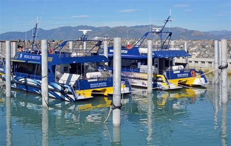 Whale Watch Kaikoura New Zealand Boats Open for Business Editorial Stock Image - Image of boat ...