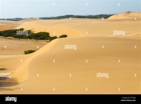 Sand dunes, Medanos de Coro National Park, near Coro, Falcon State ...