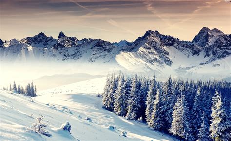 trees, winter, Mountains, snow, viewes, Snowy - Beautiful views wallpapers: 5000x3073