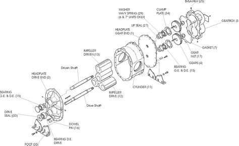 Roots Supercharger Diagram | My Wiring DIagram