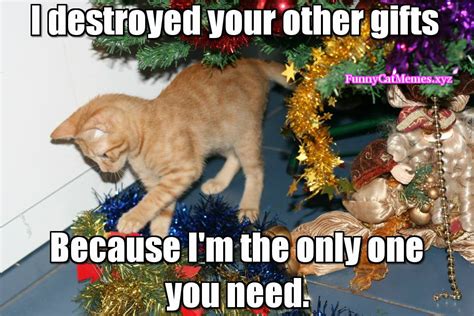 The Only Thing You Need On Christmas Is Your Cat! Christmas MEME