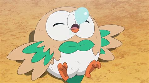 Rowlet Screenshot | Pokemon, Anime, Pikachu