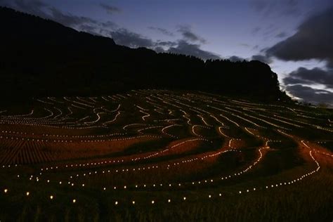 Oyama Rice Terraces (Kamogawa) - 2021 All You Need to Know BEFORE You Go (with Photos) - Tripadvisor