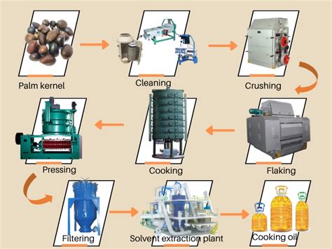 What are the extraction methods of palm kernel oil? What are their different?_FAQ