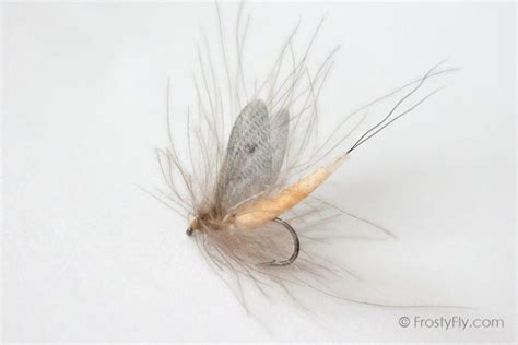 Realistic Flies - MAYFLY Selection of 10 Flies - Assorted - FrostyFly