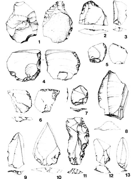 Middle Palaeolithic tools: Levallois core (1), different types of... | Download Scientific Diagram