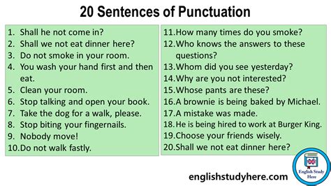 20 Sentences of Punctuation - English Study Here