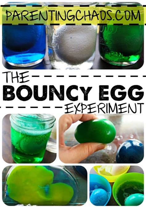 Bouncy Egg Science Experiment for Kids