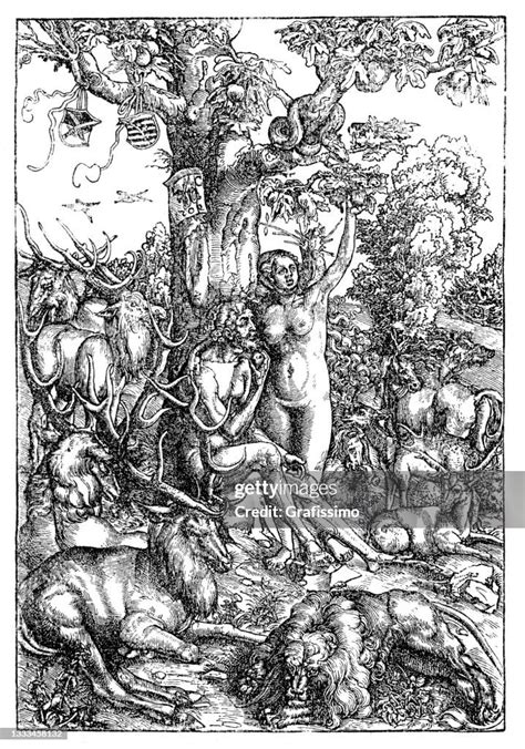 Adam And Eve By Lucas Cranach The Elder 16th Century High-Res Vector ...