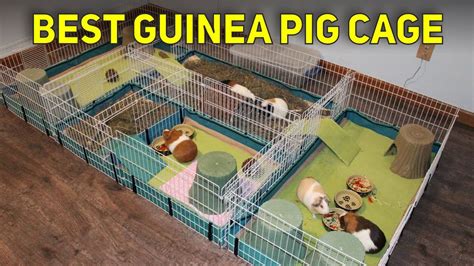 Best Guinea Pig Cage 2023? Top 3 Best Guinea Pig Cage - YouTube