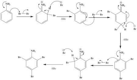 Suggest a mechanism for the bromination of aniline. | Homework.Study.com