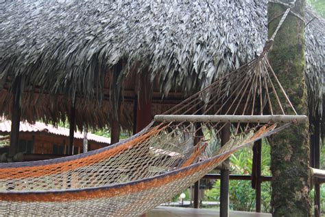 Hanging Hammock Free Stock Photo - Public Domain Pictures