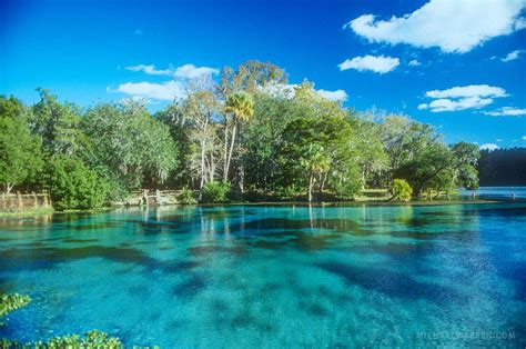 silver-glen-springs - Florida Traveler