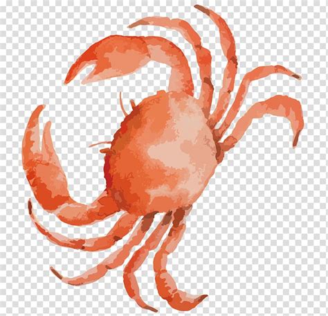 crab illustration clipart 20 free Cliparts | Download images on ...