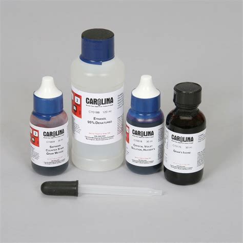 Gram Stain Kit, Small | Carolina Biological Supply