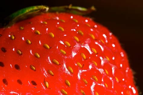 strawberry | strawberry | David Lenker | Flickr