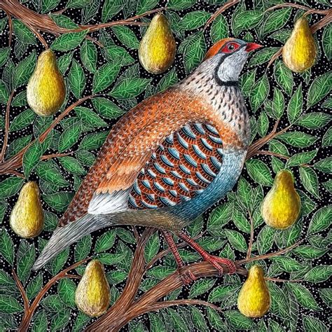 christmas partridge in a pear tree – Google Поиск