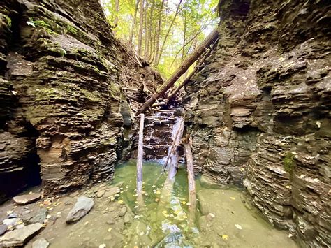 Allen Lake State Forest – Belfast, NY | Adventures in New York