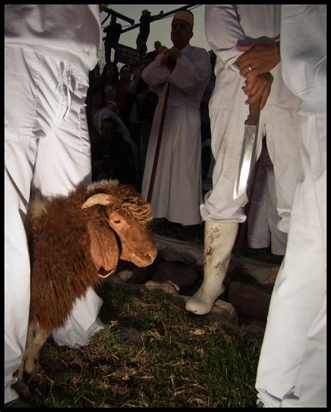 Samaritans' Passover at Mount Gerizim | The whole documentar… | Flickr