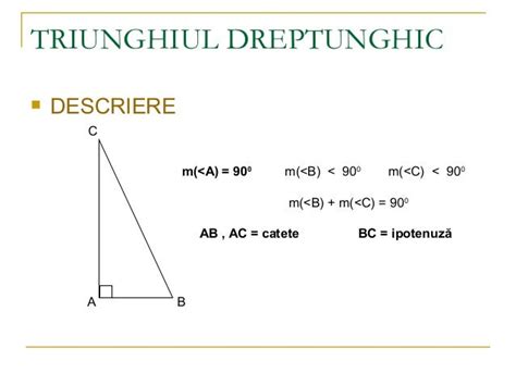 Triunghiul dreptunghic