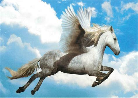 Pegasus Winged Horse of Greek Mythology Flying in the Sky Postcard ...