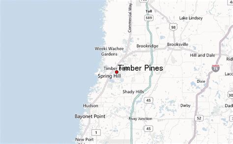 Timber Pines Weather Forecast