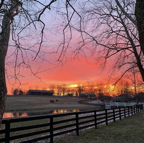 8 best Twitter Claibornefarm images on Pholder | It's available now on YouTube here @claibornefarm