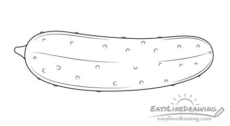 How to Draw a Cucumber Step by Step - EasyLineDrawing