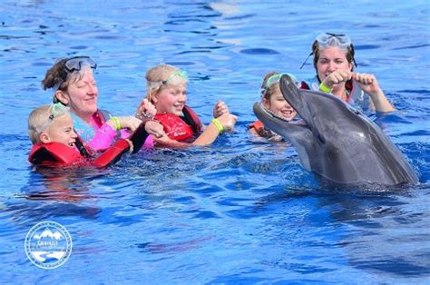 Our Dolphin Encounter at Marineland, Florida - Currently Wandering