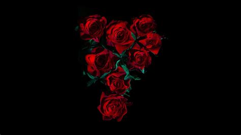 Red Roses 4K Wallpaper, Flower bouquet, Black background, 5K, 8K ...