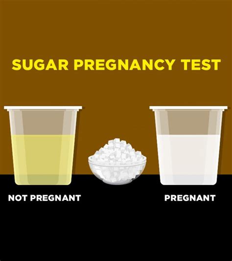 Sugar Pregnancy Test: Procedure, Result And Accuracy | Pregnancy test, Home pregnancy test, Diy ...