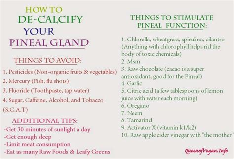 Die besten 25+ Decalcify pineal gland Ideen auf Pinterest