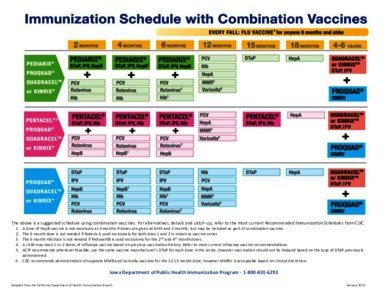 Print Out Cdc Flu Vaccine Information Sheet