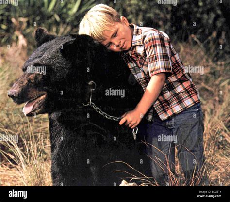 GENTLE BEN (TV) CLINT HOWARD Stock Photo: 29249387 - Alamy