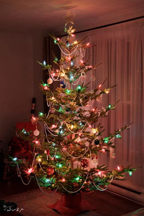 Christmas tree 2023 | Brent Eagles | Flickr