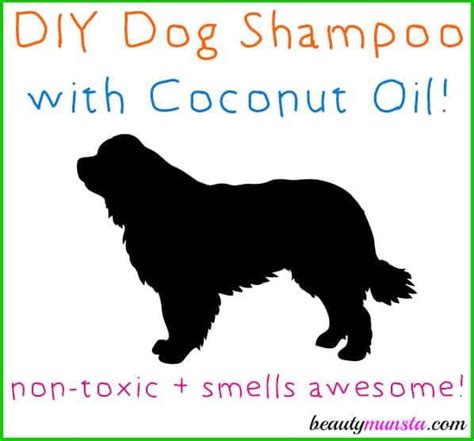 31 Easy Homemade Dog Shampoo Ideas | Diy dog shampoo, Homemade dog shampoo, Coconut oil shampoo