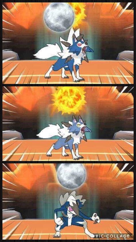 [gen7] My Shiny Lycanroc Forms are complete! : r/ShinyPokemon