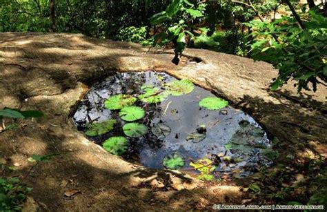 Dambadeniya Kingdom and Palace Complex | AmazingLanka.com