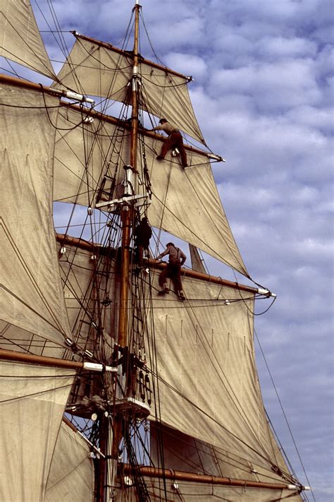 Crew in rigging of tall ship | Sailing ships, Tall ships art, Tall ships