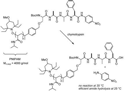 Macromolecules