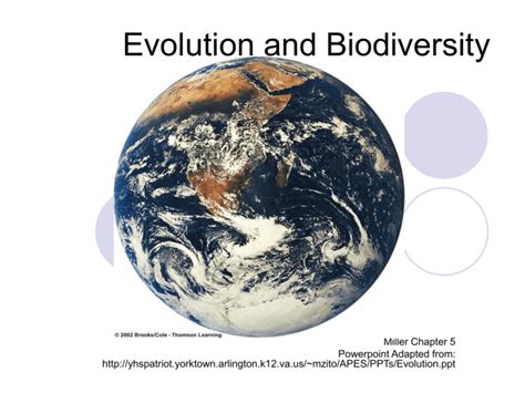 Evolution and Biodiversity